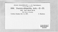 Image Associated With the Occurence